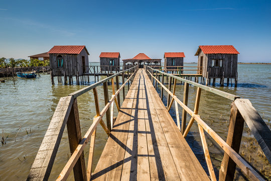 Lagoon of Patok - Nature Reserve, Albania
