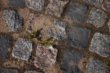 the old road surface is made of cobblestones covered with moss with flowers making their way between granite stones