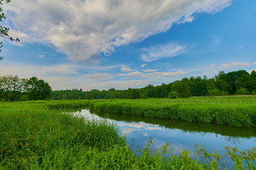 Peaceful rural summer european landscape with green trees and water