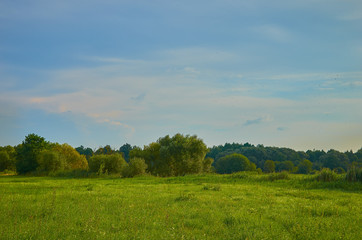 Obraz premium Peaceful rural summer european landscape with green trees and water