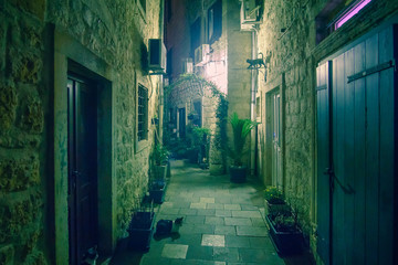 Fototapeta na wymiar View of the night city of Kotor, Montenegro.