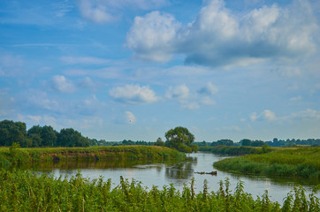 Peaceful rural summer european landscape with green trees and water