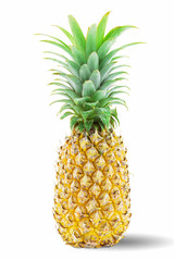Fresh pineapple fruit isolated on white background with clipping path