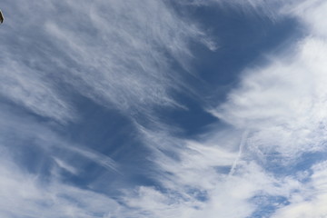 Obraz premium 筋雲