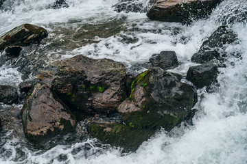 Big stones with moss and lichen in water riffle of mountain river. Powerful water stream of mountain creek. Natural textured rapid background of fast flow of mountain brook. Mossy boulders close-up.