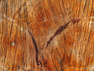 Wooden stump texture as backdrop 