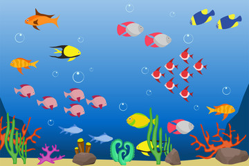 Underwater world with fish and underwater vegetation. Seascape.