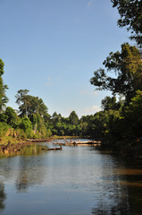 プリアカンの流木と川