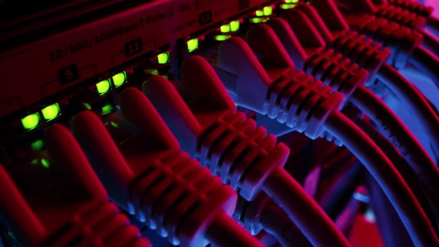 Macro Shot: Ethernet Data Cables Connected to Router Ports with Blinking Lights. Telecommunications: RJ45 Internet Connectors Plugged into Modem LAN Switches. Moving Camera. Neon Red Blue Lighting