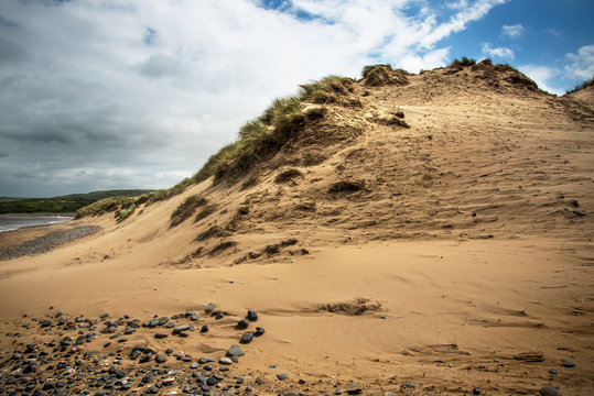 Sand dune and maram grass, Sandscale Haws, Cumbria, England