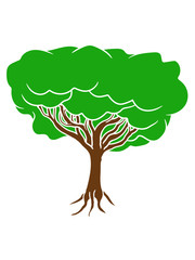 Baum mit Blättern naturschutz