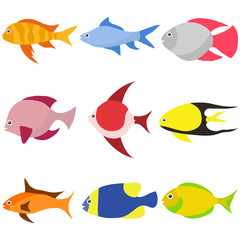 Aquarium fish, a set of fish. Vector illustration fish