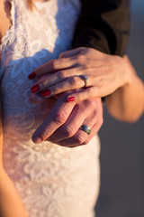 Isolated picture of Bride and grooms hands showing rings