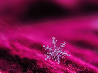 Snowflake beautiful on the red winter background