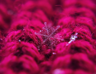Snowflake beautiful on the red winter background