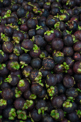 Mangosteen