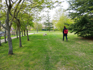 promener son chien au parc 