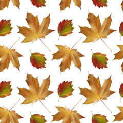 Naklejka na ściany i meble Seamless pattern of autumn leaves isolated on a white background. Colorful texture for wrapping paper, textile and web design