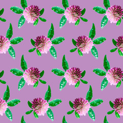 Pink clover flowers with green leaves on a purple background. Floral ornament. Seamless pattern for wrapping paper, and textile design