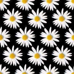 White chamomile flowers on a black background. Contrast floral pattern. Seamless texture for fabric design, wrapping paper, and wallpaper. Elegance daisy ornament