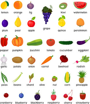 Big set of different ripe fruits and vegetables isolated on white background