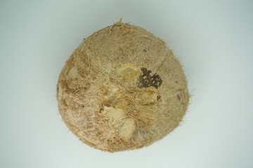 Peeled coconut over white background