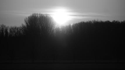 Sunrise Berlin-South2