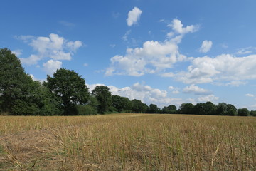 Fototapeta premium Drohne im Flug