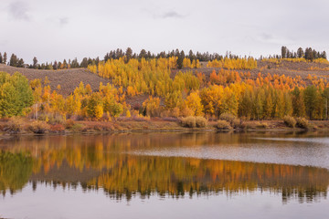 Scenic Reflection Landscape in the Tetons in Autumn