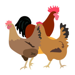 vector image with rooster and two hens in the hay