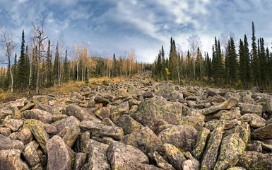 panoramic autumn landscape in the mountains, stone river-kurumnik, mound of large stones of the ice age.