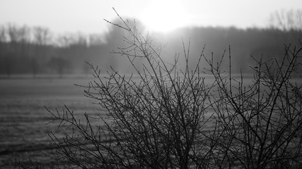 Sunrise Berlin-South2