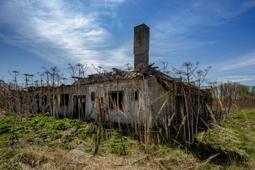 Fototapeta premium an abandoned brick farm with a large high chimney towering into the blue sky, this building has grown into a hall is surrounded by withered hogweeds,