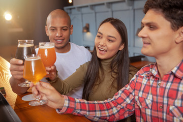 Diverse group of friends celebrating together at the pub, clinking beer glasses