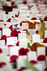 Remembrance Day: Lest We Forget