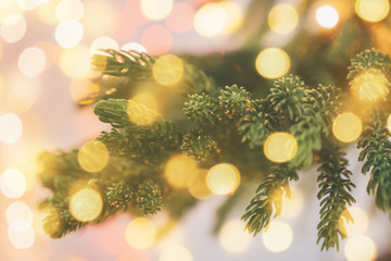 Closeup Christmas tree with bokeh light background