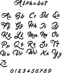 hand drawn vector latin alphabet and numbers isolated on white background . Concept for print, web design , cards, menu 
