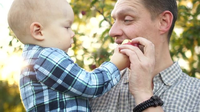 Close portrait of a toddler and his father eating an apple in prak on a walk. Autumn portrait, happy family, father's day, father and son