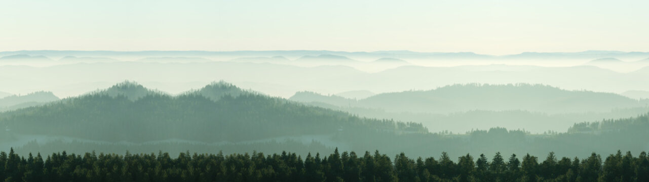 Amazing fog landscape in black forest panorama banner long