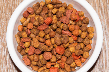 Dry cat food in bowl