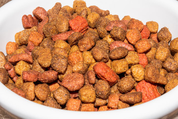Dry cat food in bowl