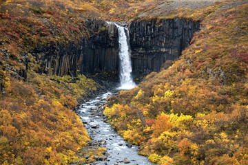Fototapeta na wymiar Svartifoss Waterfall - Iceland