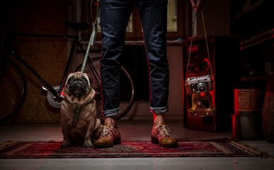 A hipster man stnding on the carpet in the room holding a pug dog on a leash in one hand and old...