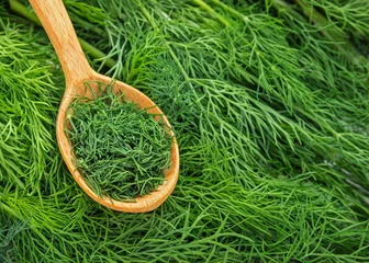Foto op Aluminium Dill weed. Fresh dill greens. Fennel  in wooden spoon © Irina