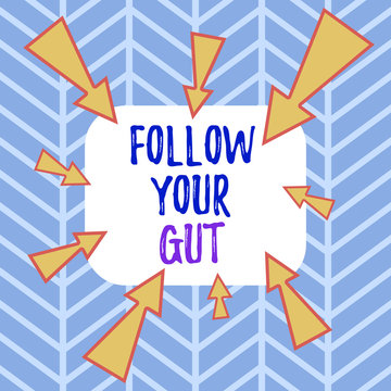 Word writing text Follow Your Gut. Business photo showcasing Listen to intuition feelings emotions conscious perception Asymmetrical uneven shaped format pattern object outline multicolour design