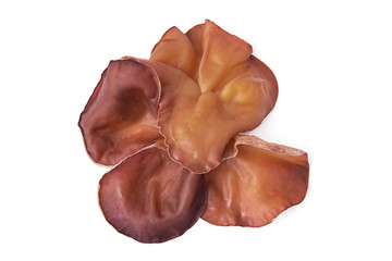 Wood ear, Edible mushroom with isolated on white background. Closeup