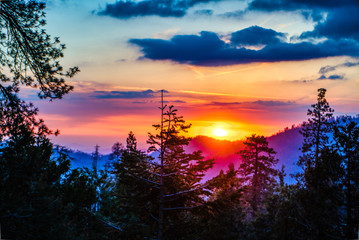Sunset in Sequoia National Forest,California,USA