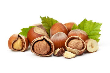 Hazelnut nut many leaves isolated on a white background as a packaging design element