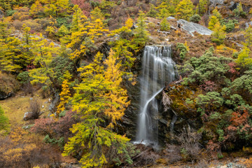 Fototapeta na wymiar Waterfall with autunm leaves in Yading Nature Reserve, Sichuan, China