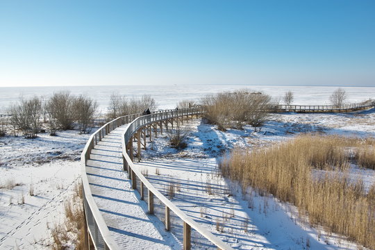 View to Pärnu coastal meadow hiking trail covered by snow at Pärnu beach, Estonia, with a fully frozen and snowy Baltic sea in background on sunny winter day